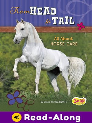 cover image of From Head to Tail